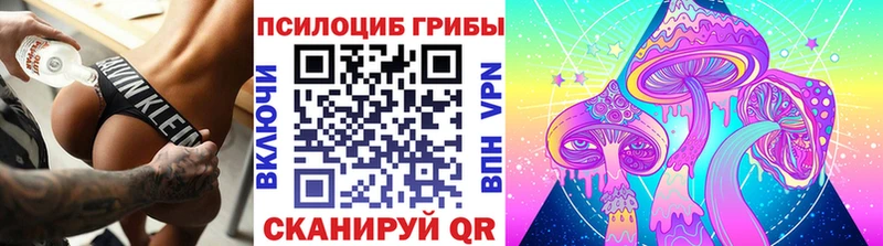 Галлюциногенные грибы мицелий  Купить  Усть-Катав 